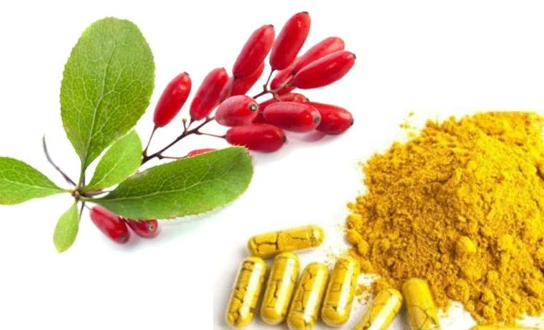 Benefits of Berberine.png